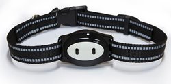 GPS Tracker PET PT02
