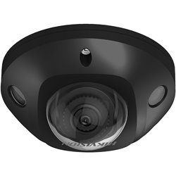 DS-2CD2543G2-IS(2.8mm)(BLACK)