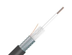 ZN01-024-B-A1